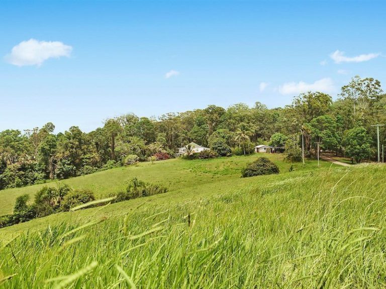 18 Parsons Knob Road, HUNCHY QLD 4555 - photo 4