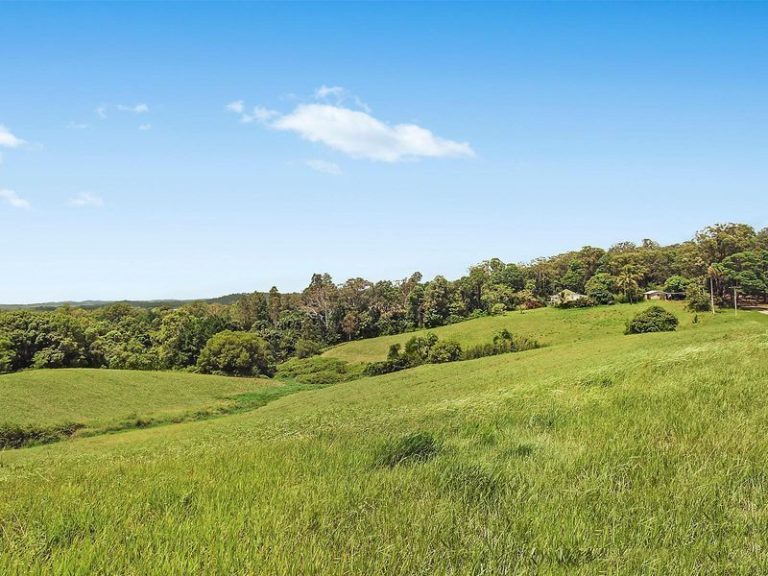 18 Parsons Knob Road, HUNCHY QLD 4555 - photo 5