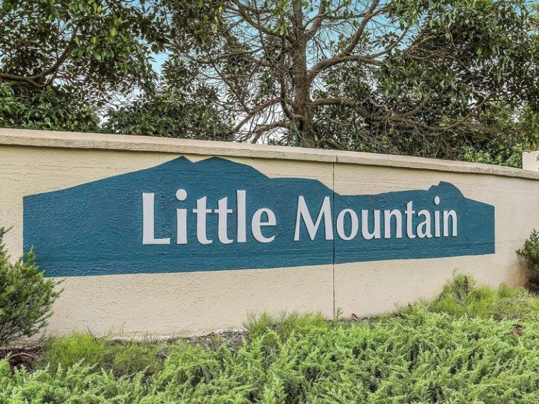 44 Turnbury Street, LITTLE MOUNTAIN QLD 4551 - photo 8