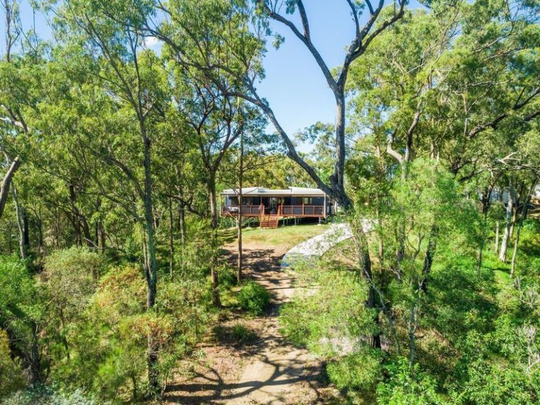 8 Berard Terrace, LITTLE MOUNTAIN QLD 4551 - photo 8