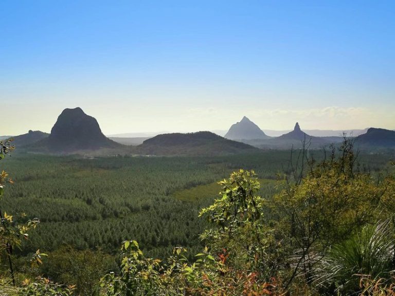56 Traline Road, GLASS HOUSE MOUNTAINS QLD 4518 - photo 13
