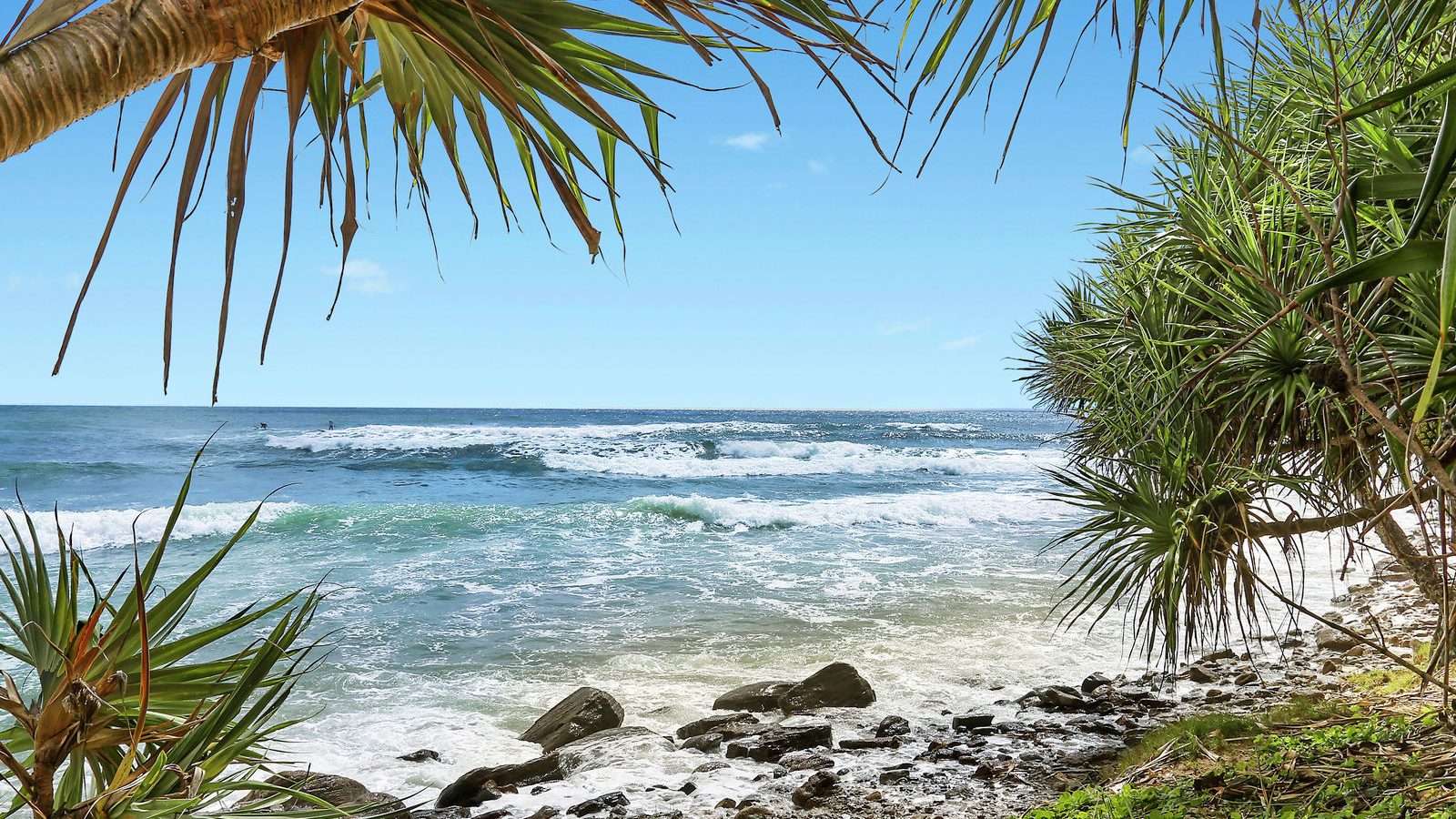 61/31 North Street, Caloundra QLD 4551 - McGrath Coast & Hinterland