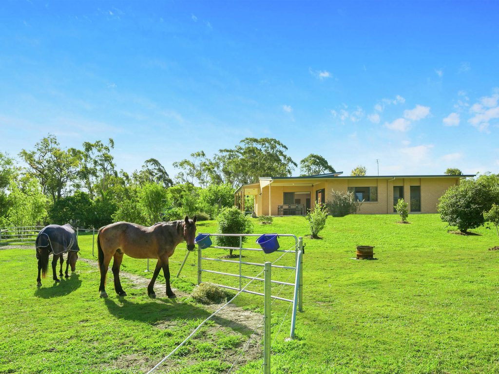 181 Hardwood Road, Landsborough QLD 4550 - photo 3