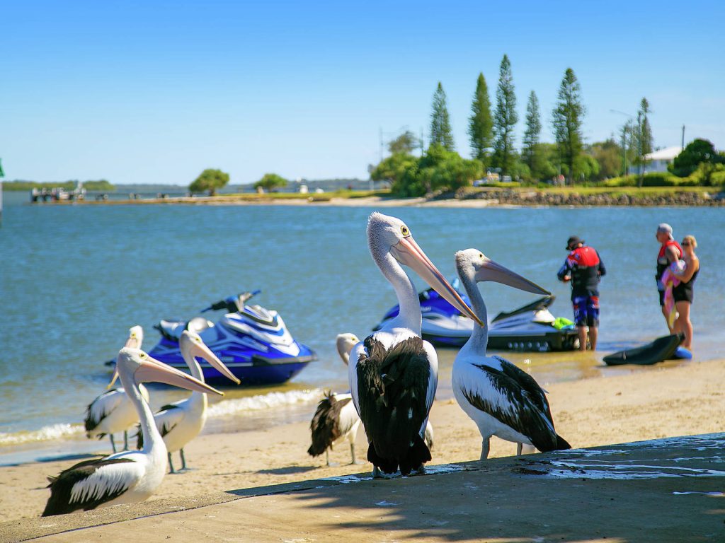 10/101 Esplanade, Golden Beach QLD 4551 - photo 5