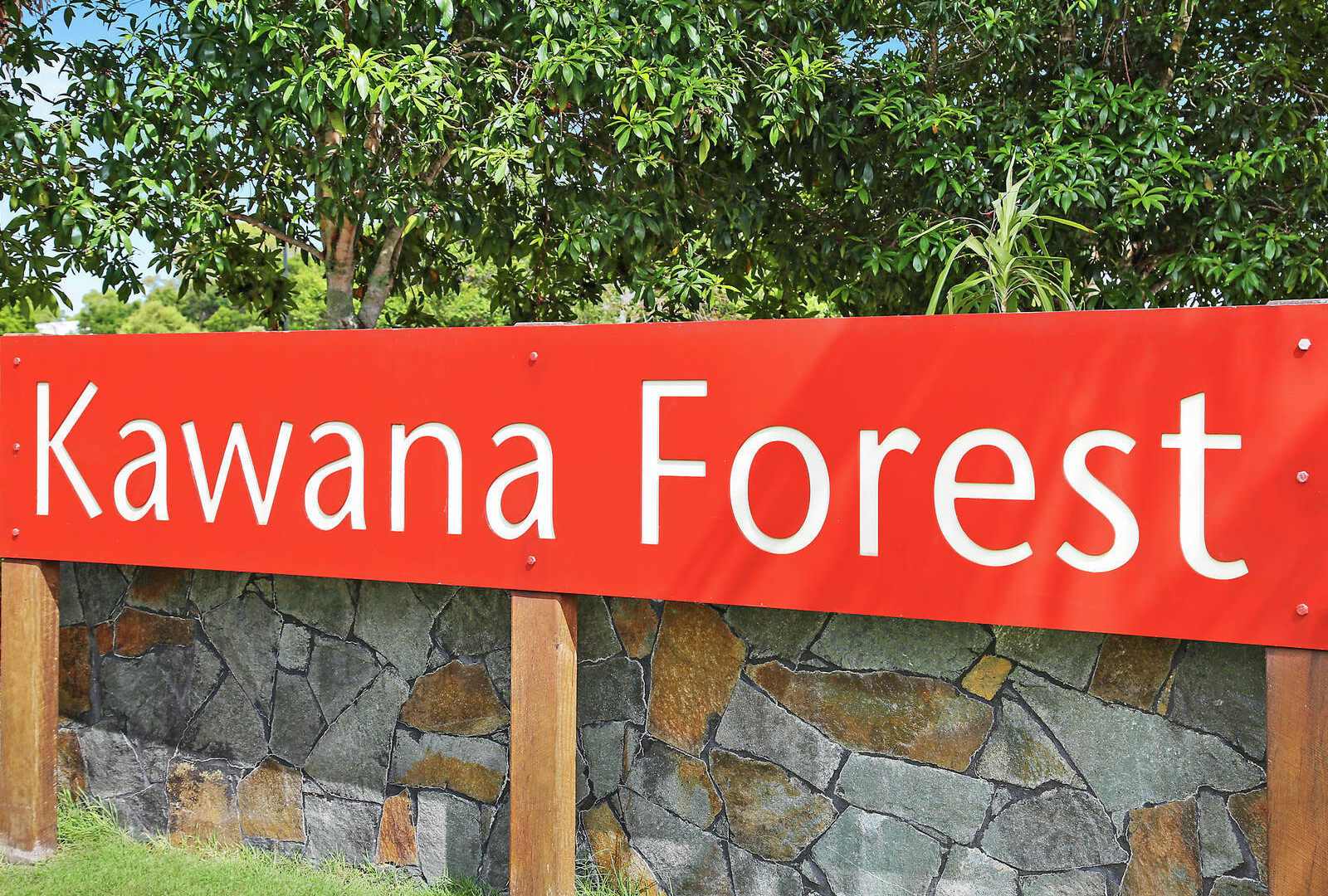 5 Woombye Street, Meridan Plains QLD 4551 - photo 15