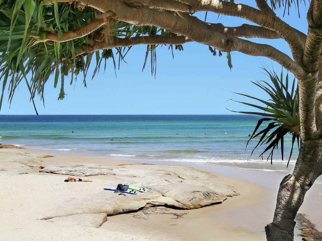 Level 2/5/52 King Street, Kings Beach QLD 4551 - photo 11