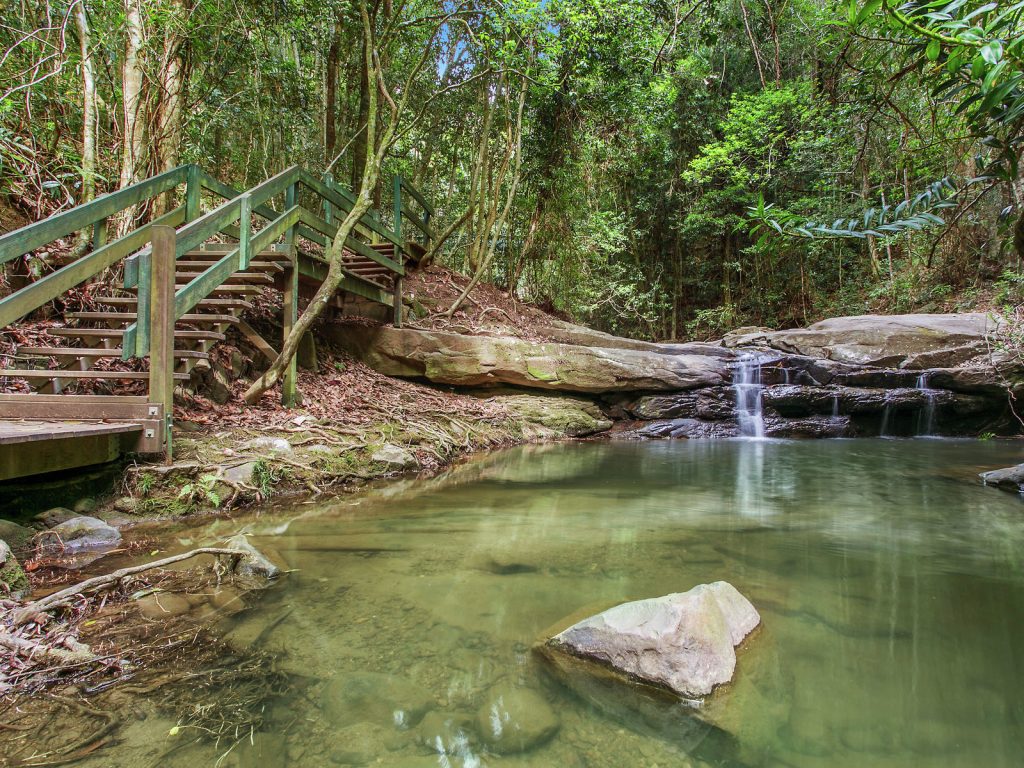 8 Attenborough Close, Buderim QLD 4556 - photo 15