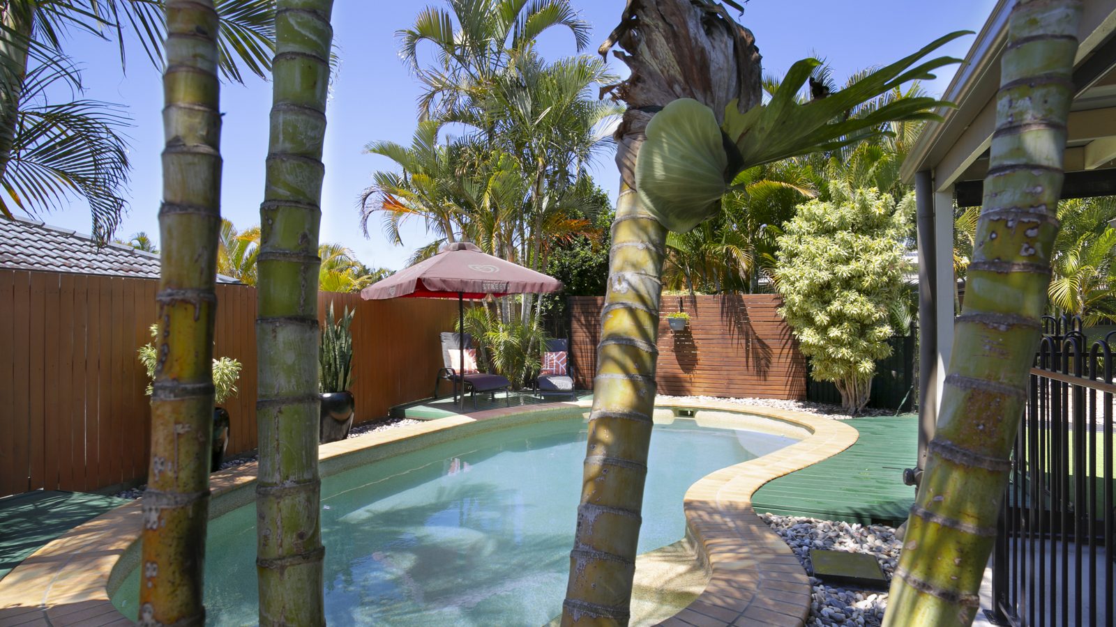 11 Highclare Court, Little Mountain QLD 4551 - McGrath Coast & Hinterland