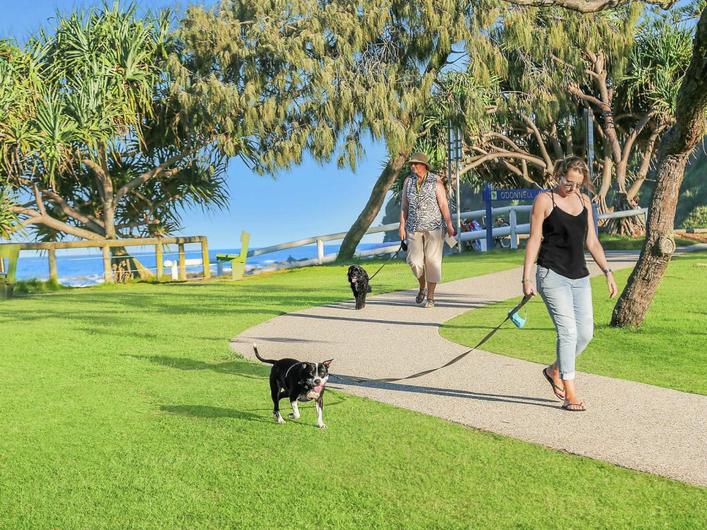 Sold - 11 Banksia Street - New Property in Shelly Beach - Real Estate by Jodie Hedley-Ward