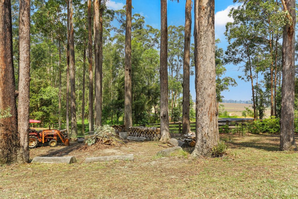 3121 Old Gympie Road, Mount Mellum QLD 4550 - photo 11