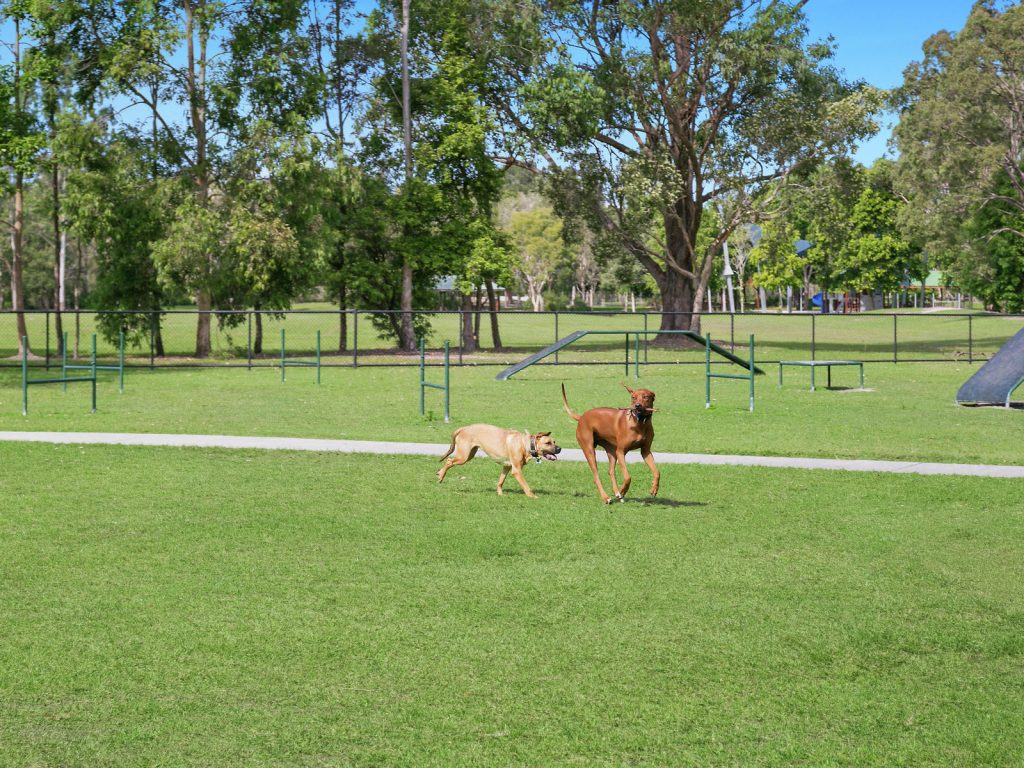48 Ascot Way, Little Mountain QLD 4551 - photo 15