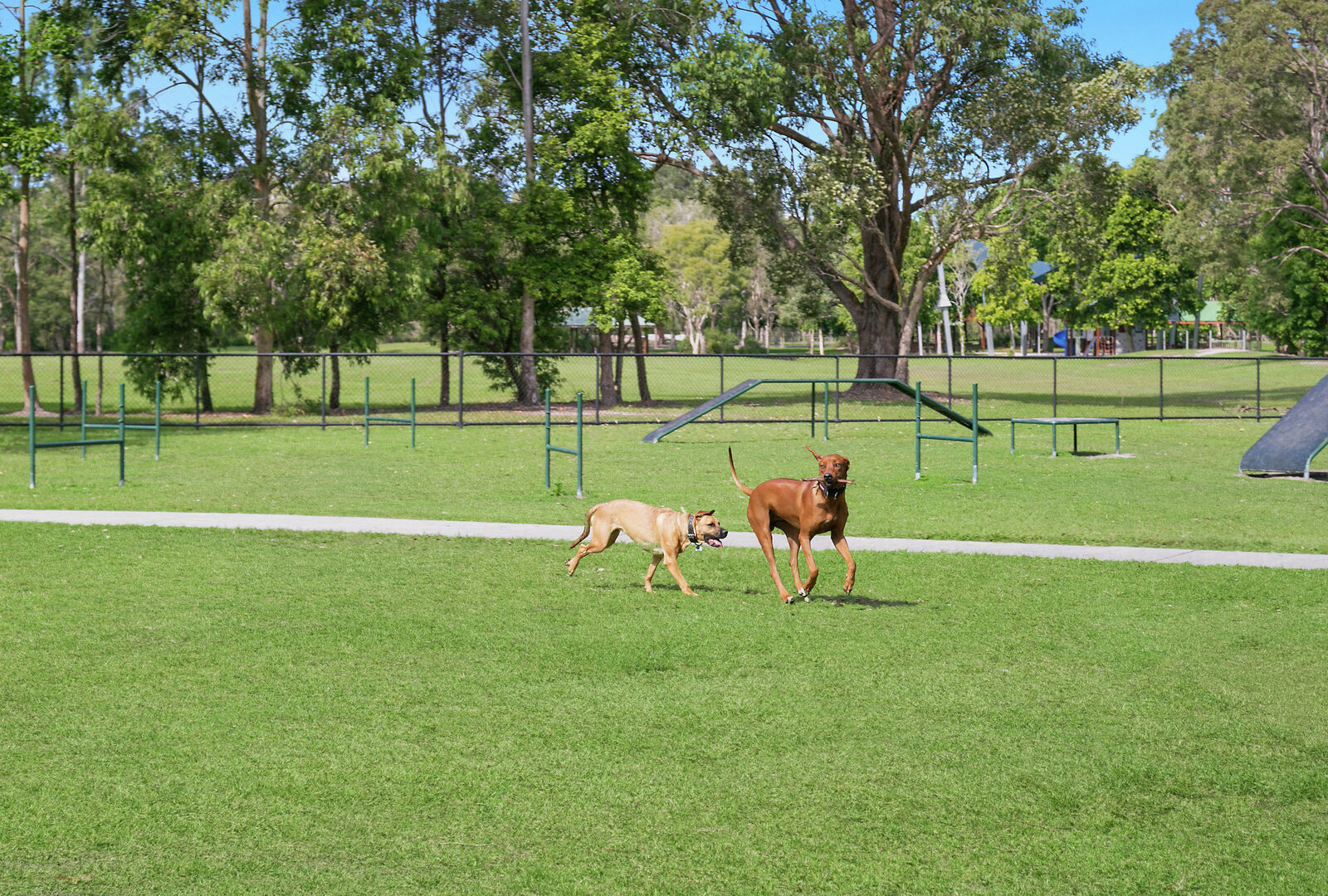 48 Ascot Way, Little Mountain QLD 4551 - photo 15