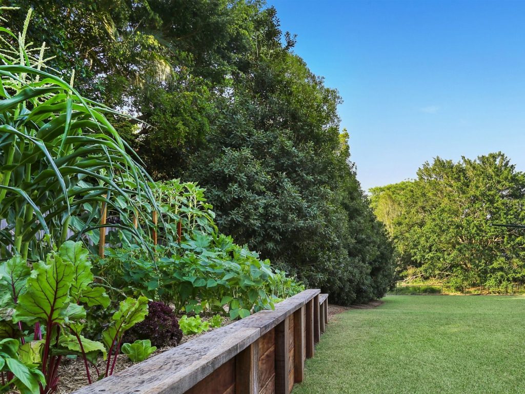 28 Old Peachester Road, Beerwah QLD 4519 - photo 11