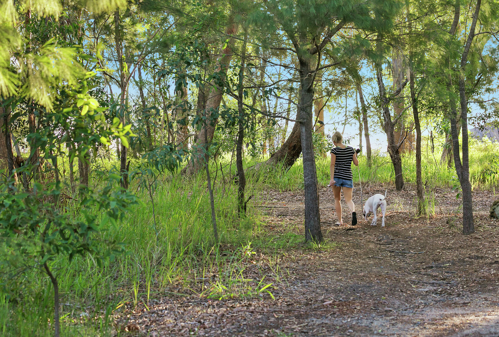 14 Saint James Court, Little Mountain QLD 4551 - photo 9