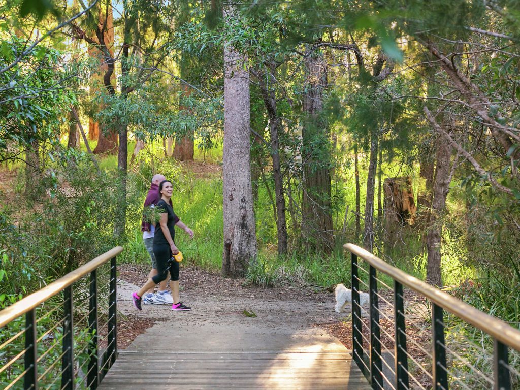 29 Casuarina Drive, Little Mountain QLD 4551 - photo 14
