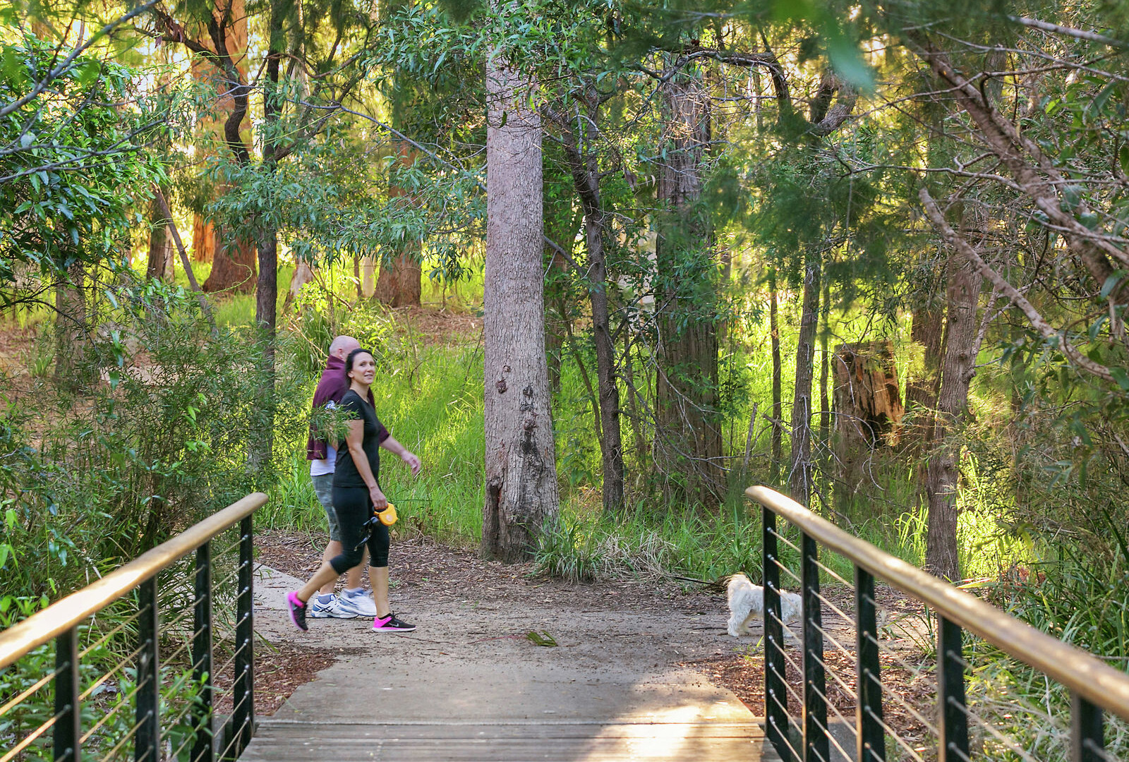 29 Casuarina Drive, Little Mountain QLD 4551 - photo 14
