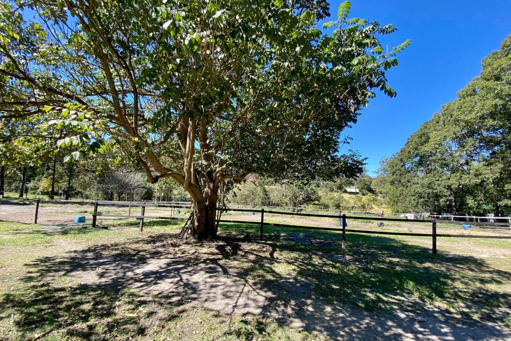 34 Storrs Road, Peachester QLD 4519 - McGrath Coast & Hinterland
