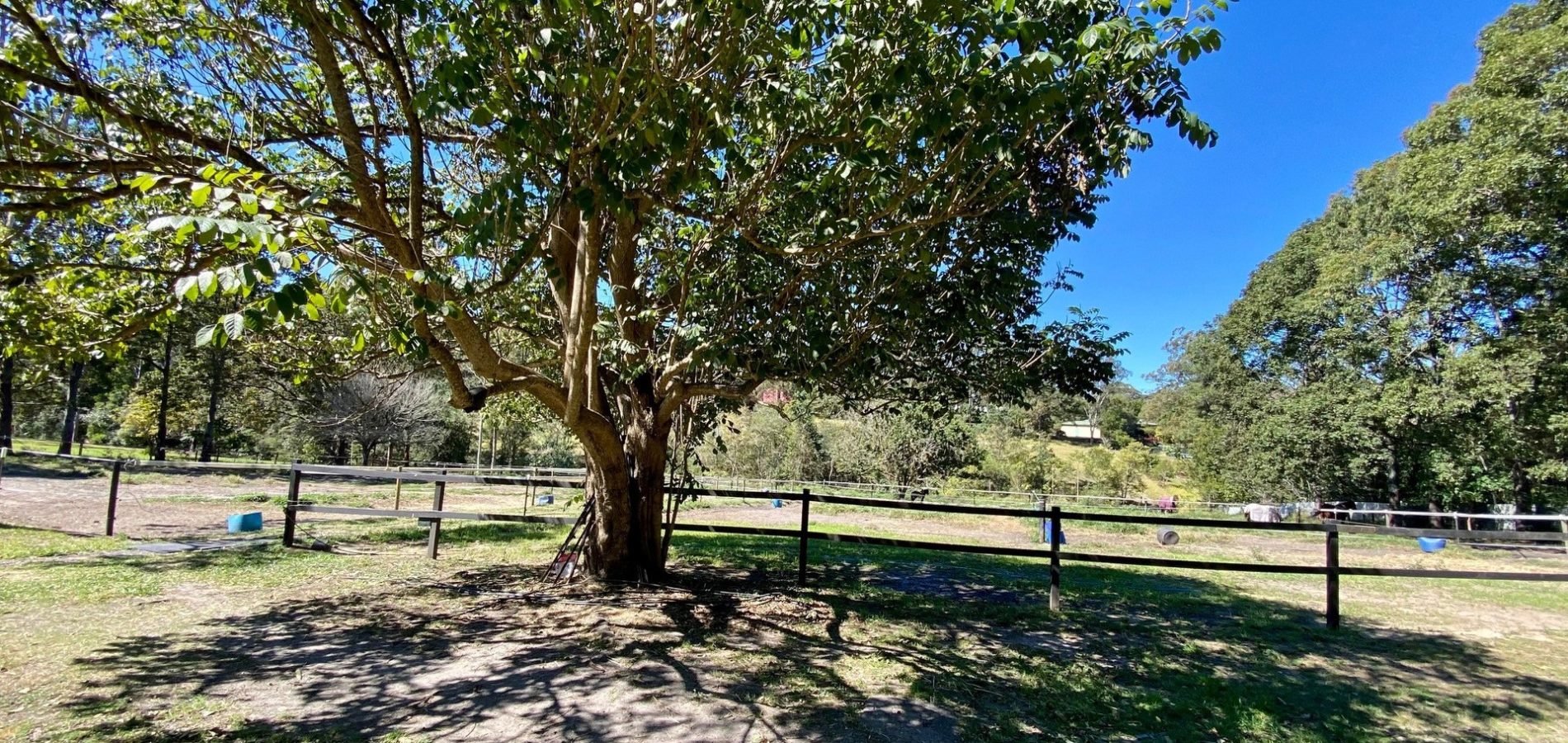 34 Storrs Road, Peachester QLD 4519 - McGrath Coast & Hinterland
