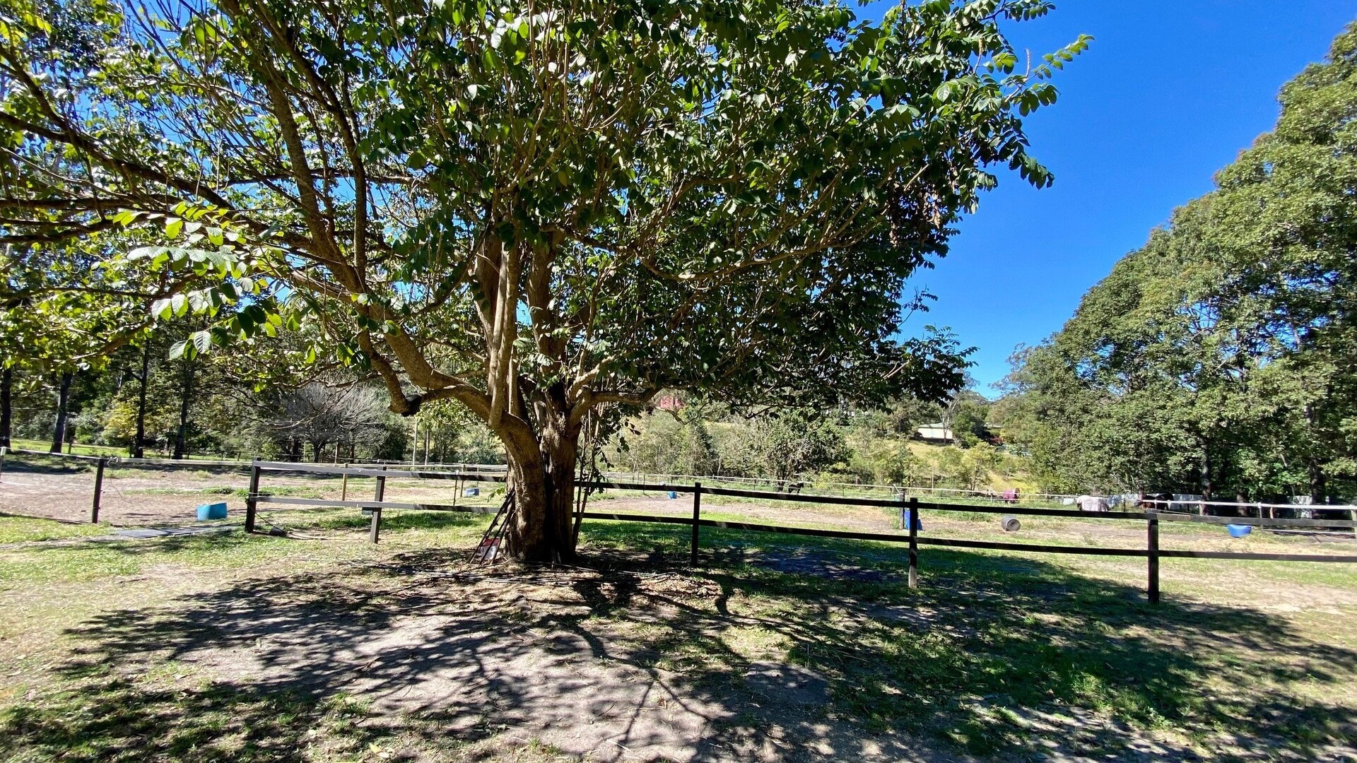 34 Storrs Road, Peachester QLD 4519 - McGrath Coast & Hinterland
