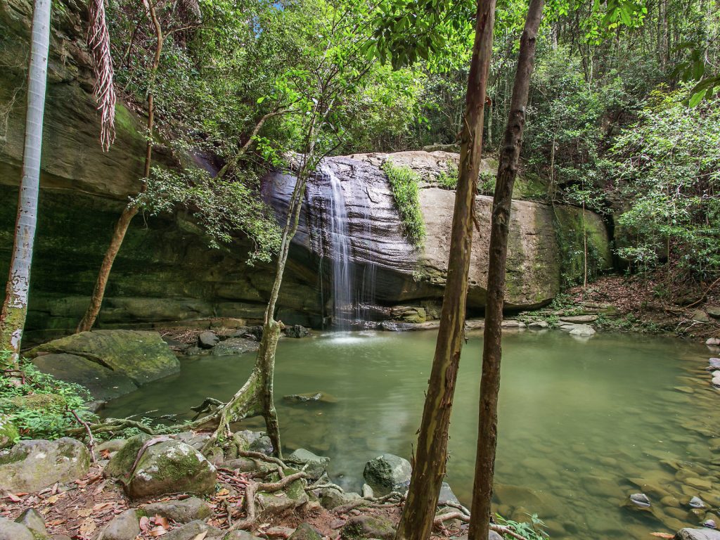 6 Crosby Hill Road, Buderim QLD 4556 - photo 18