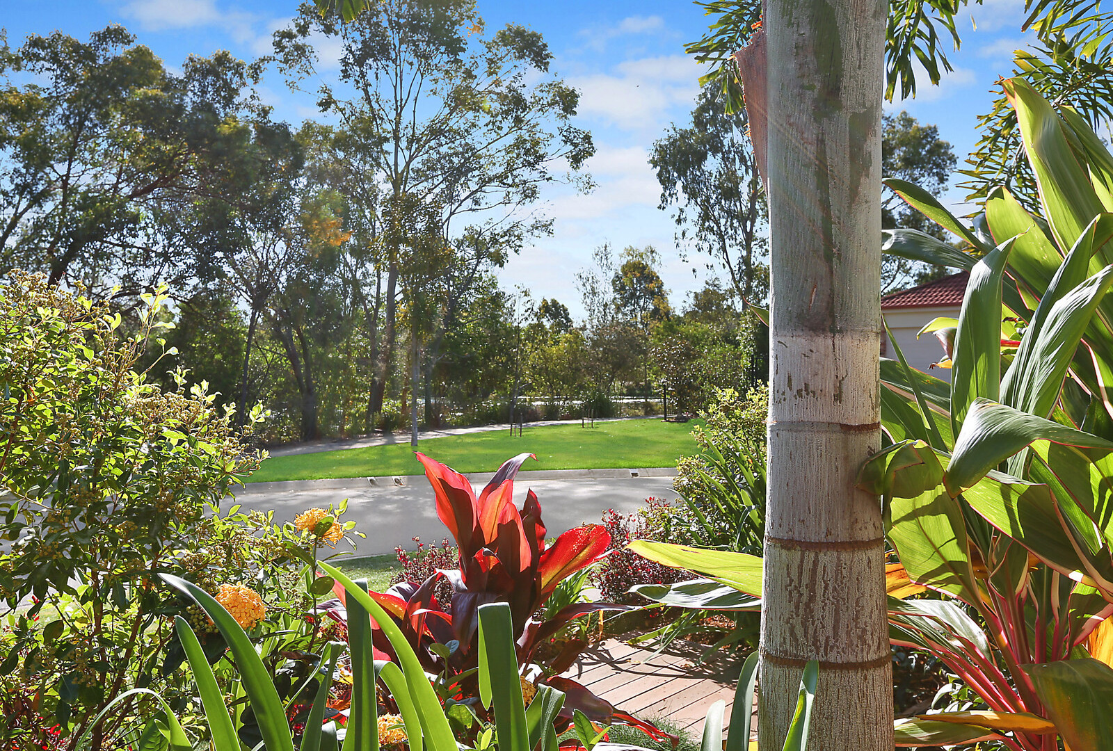 12 Park Hollow Mews, Little Mountain QLD 4551 - photo 11