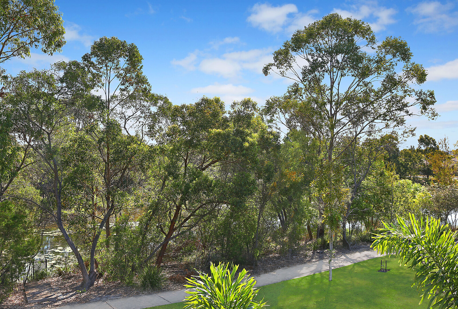 12 Park Hollow Mews, Little Mountain QLD 4551 - photo 13