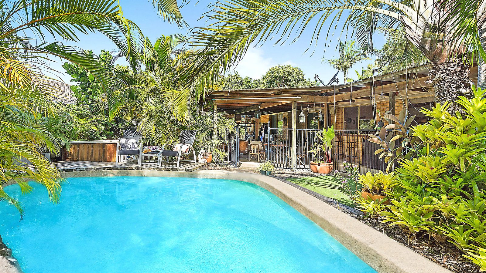 31 Saffron Drive, Currimundi QLD 4551 - McGrath Coast & Hinterland