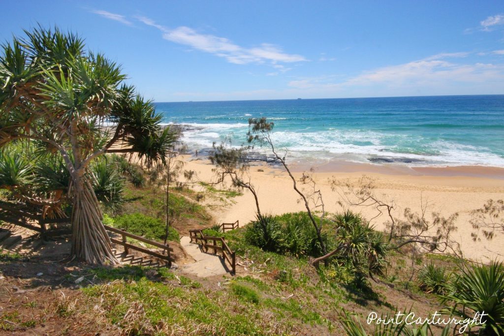 215 Nicklin Way, Warana QLD 4575 - photo 20