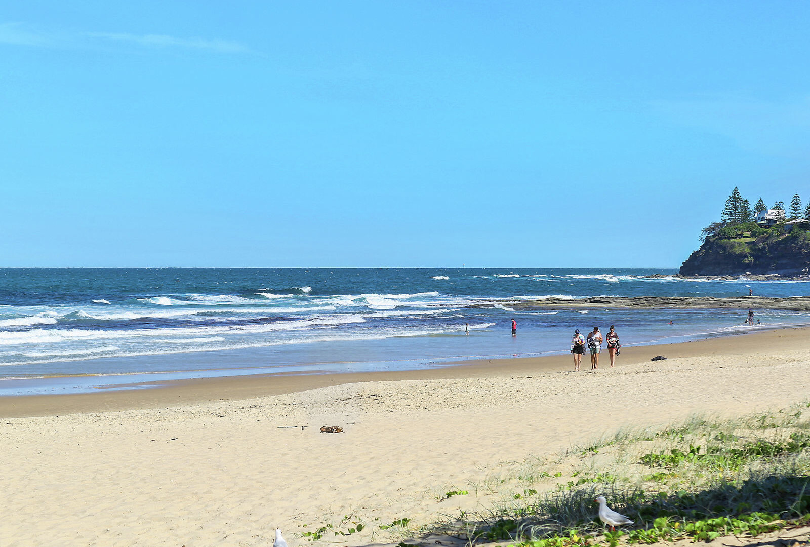 58/6 Beerburrum Street, Dicky Beach QLD 4551 - photo 5