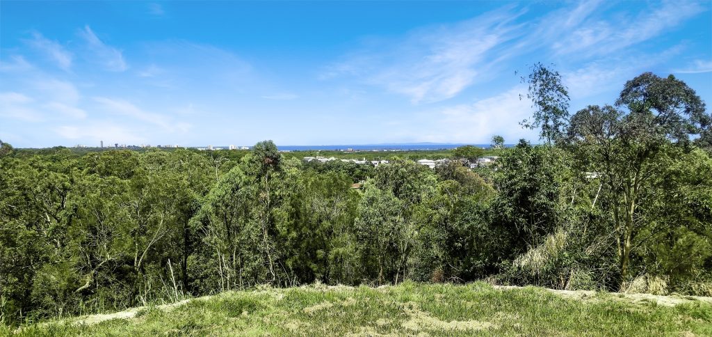 16 Sugar Bag Road, Little Mountain QLD 4551 - photo 6