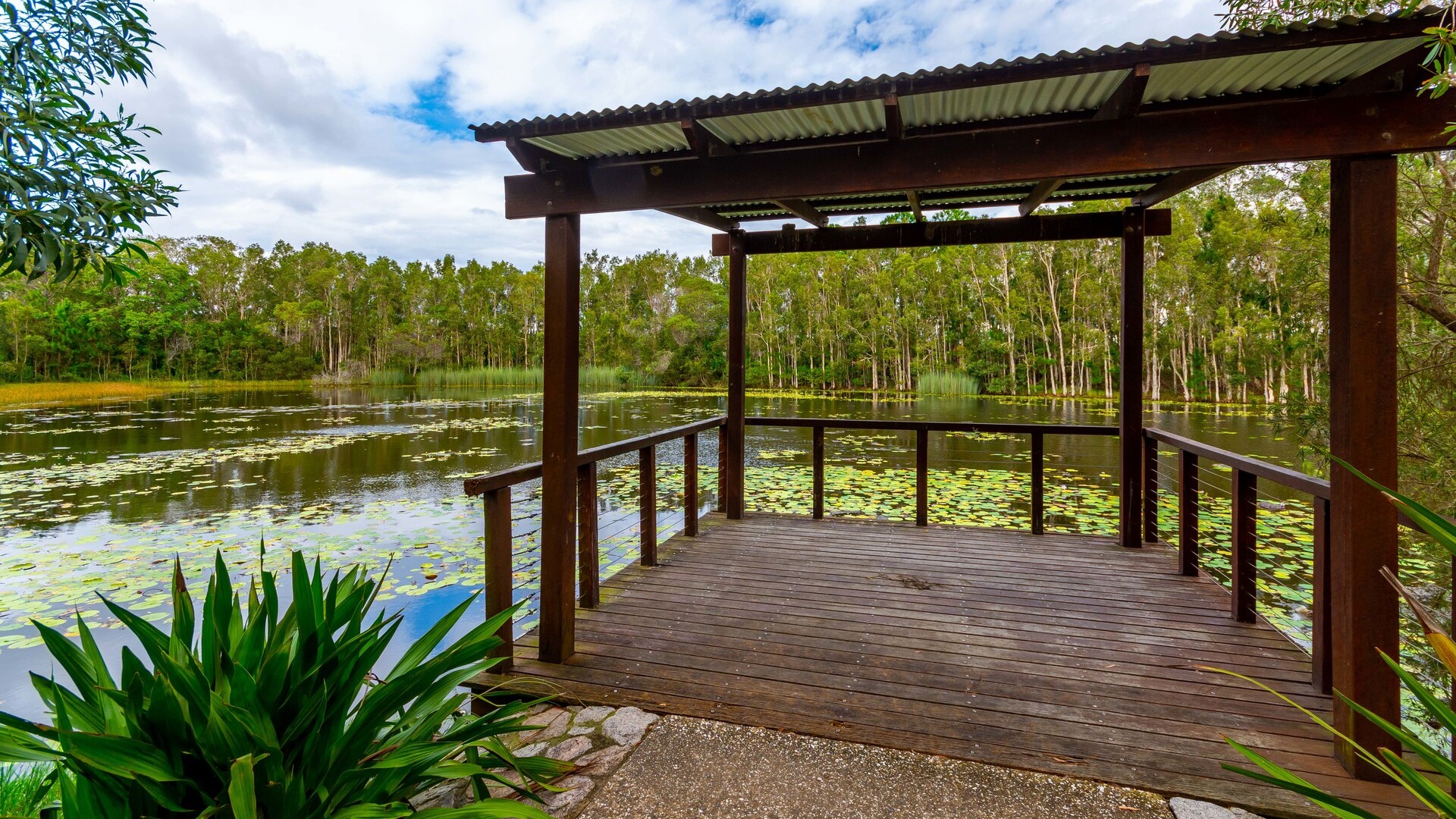 22 Grice Crescent, Ningi QLD 4511 - photo 9