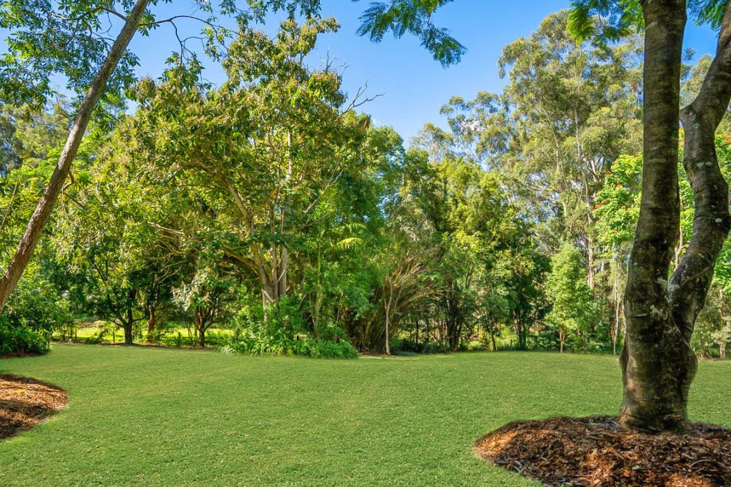 25 Fig Tree Drive, Beerwah QLD 4519 - photo 4