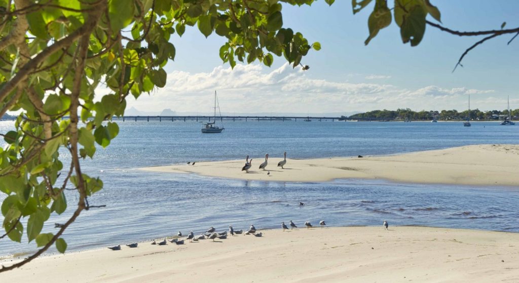 25 Cod Circuit, Bongaree QLD 4507 - photo 14