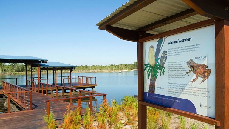 6-10 Treefrog Street, Ningi QLD 4511 - photo 13