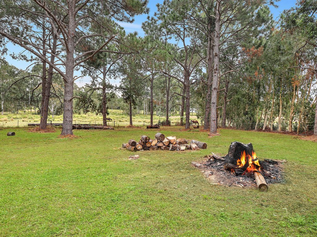37 Jordan Street, Meridan Plains QLD 4551 - photo 10