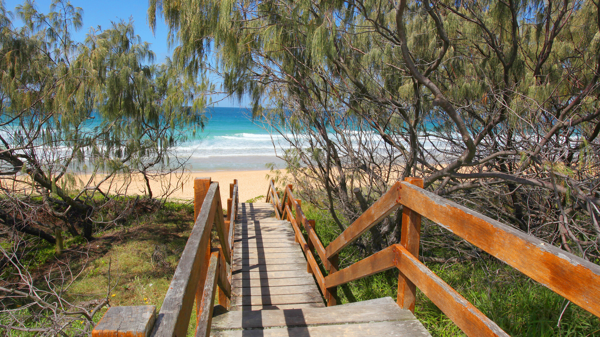 15 Napalle Street, Warana QLD 4575 - photo 17