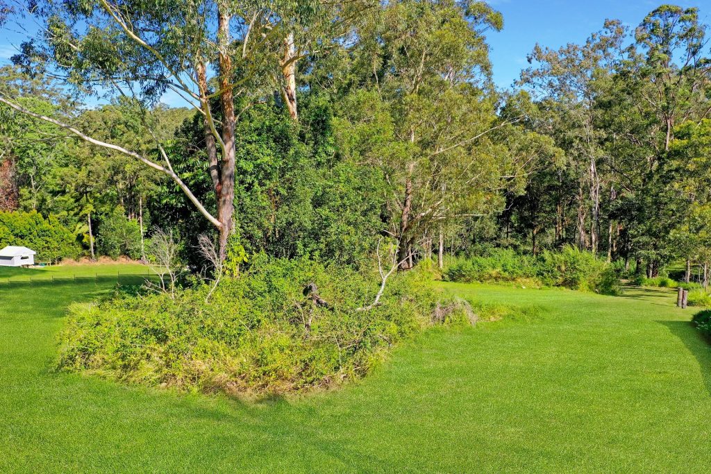 20 Coochin Street, Peachester QLD 4519 - photo 3