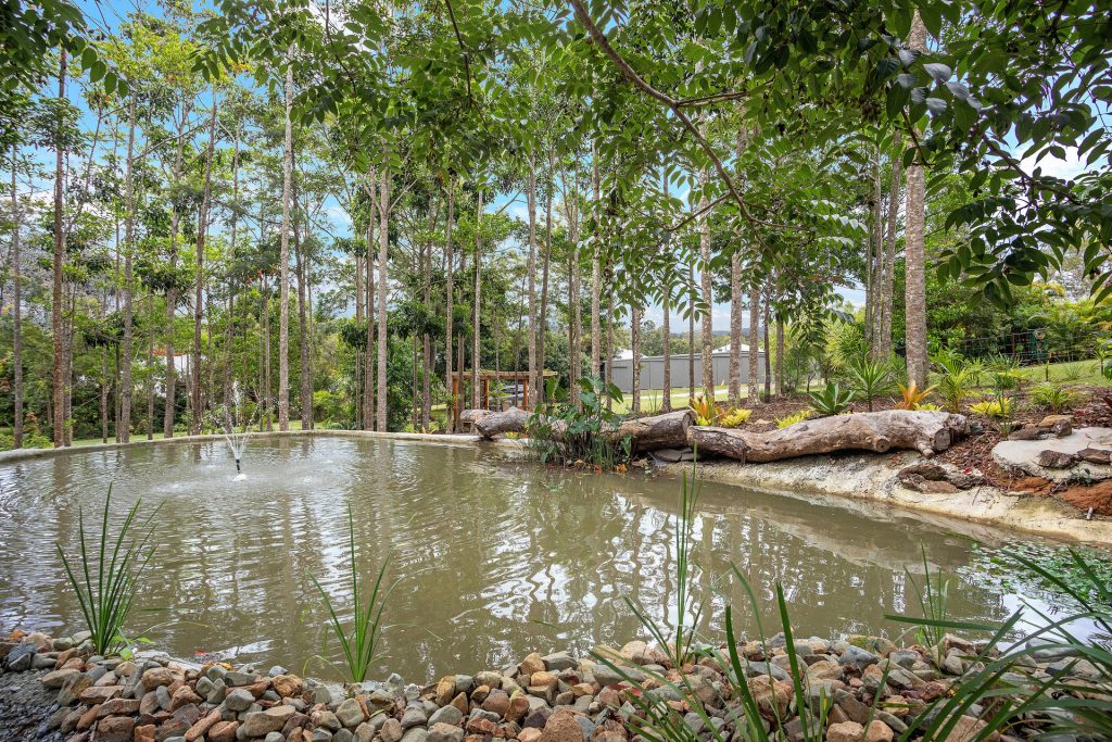 49 Lindeman Road, Beerwah QLD 4519 - photo 14