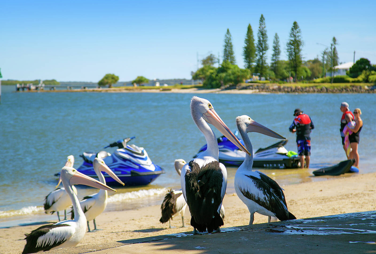 30 Wavell Avenue, Golden Beach QLD 4551 - photo 14