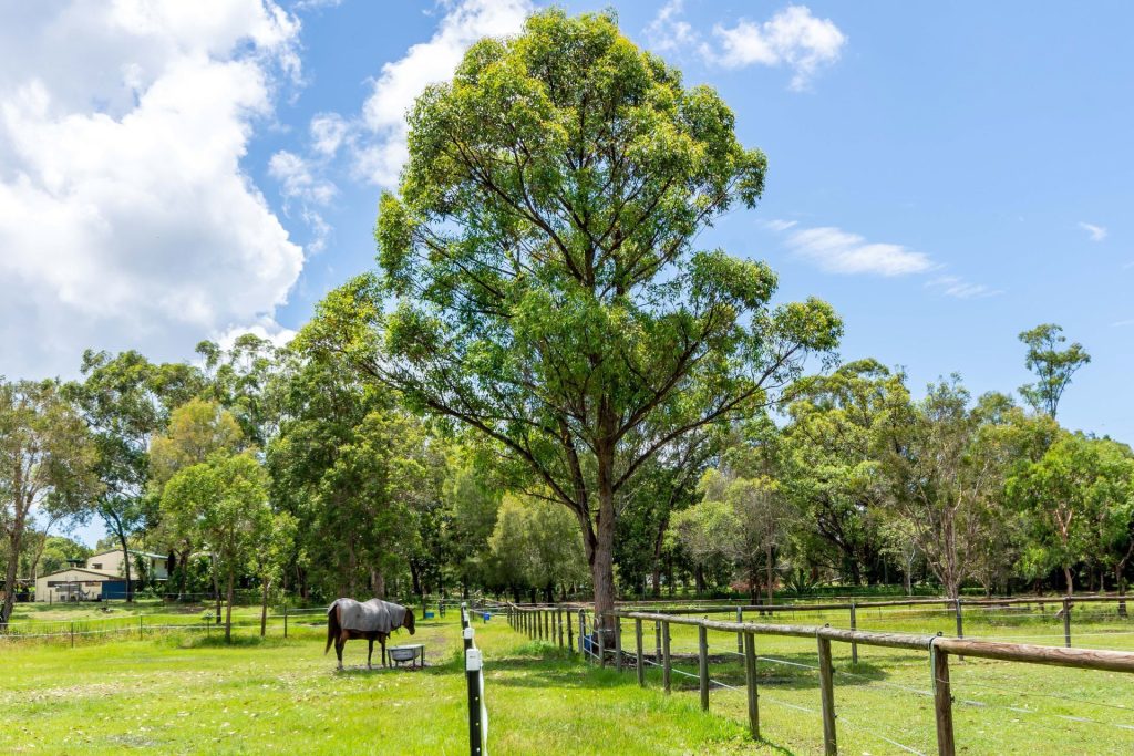 22 Mynott Road, Beachmere QLD 4510 - photo 11