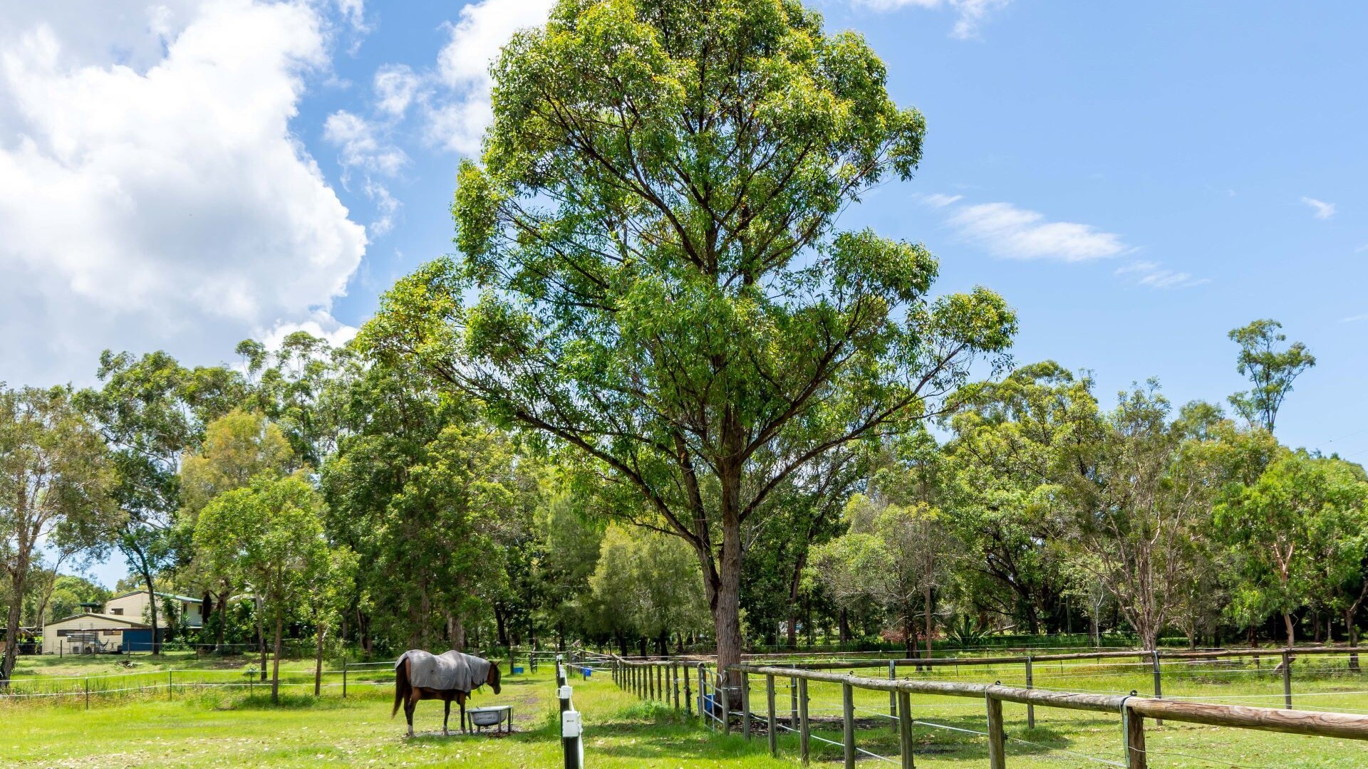 22 Mynott Road, Beachmere QLD 4510 - photo 11