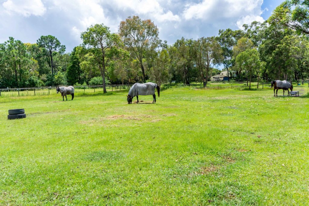 22 Mynott Road, Beachmere QLD 4510 - photo 12