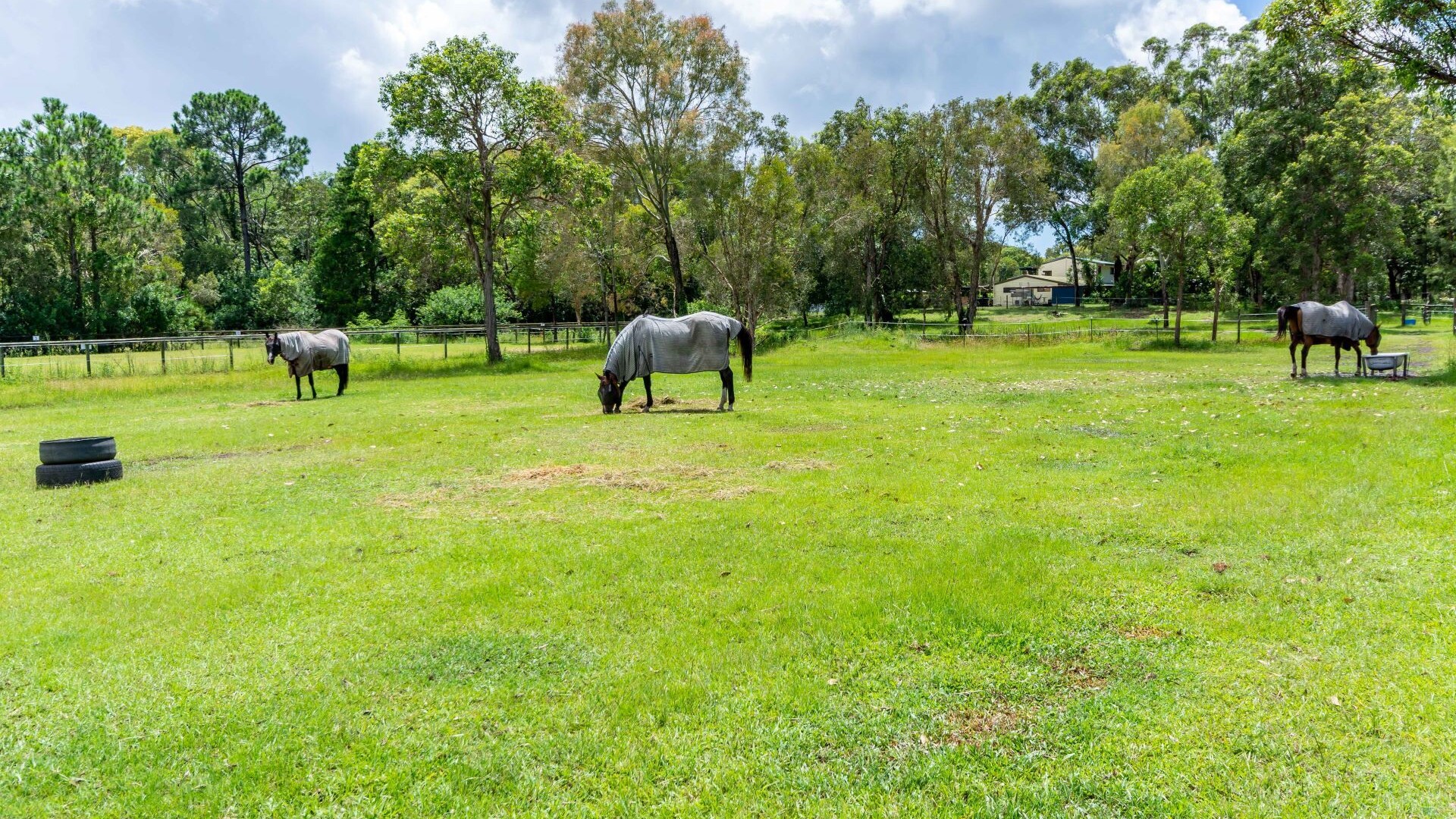 22 Mynott Road, Beachmere QLD 4510 - photo 12