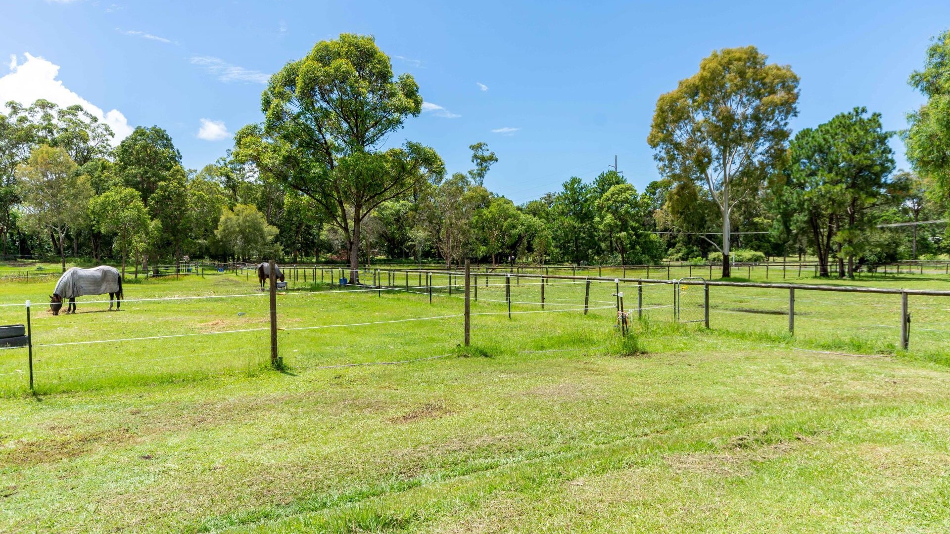 22 Mynott Road, Beachmere QLD 4510 - photo 6