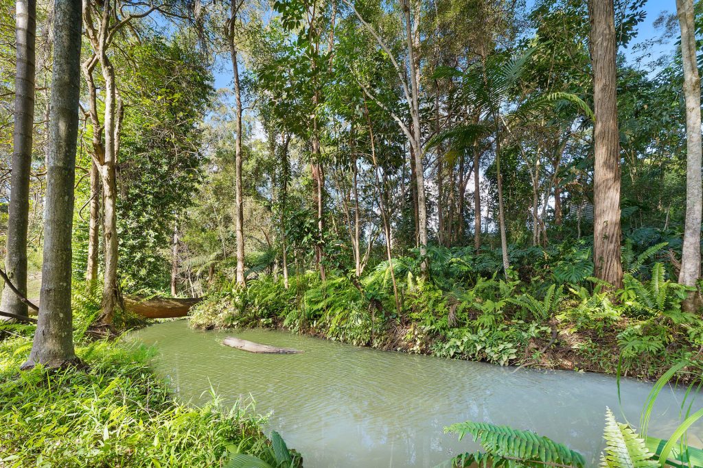 128 Lindeman Road, Beerwah QLD 4519 - photo 15