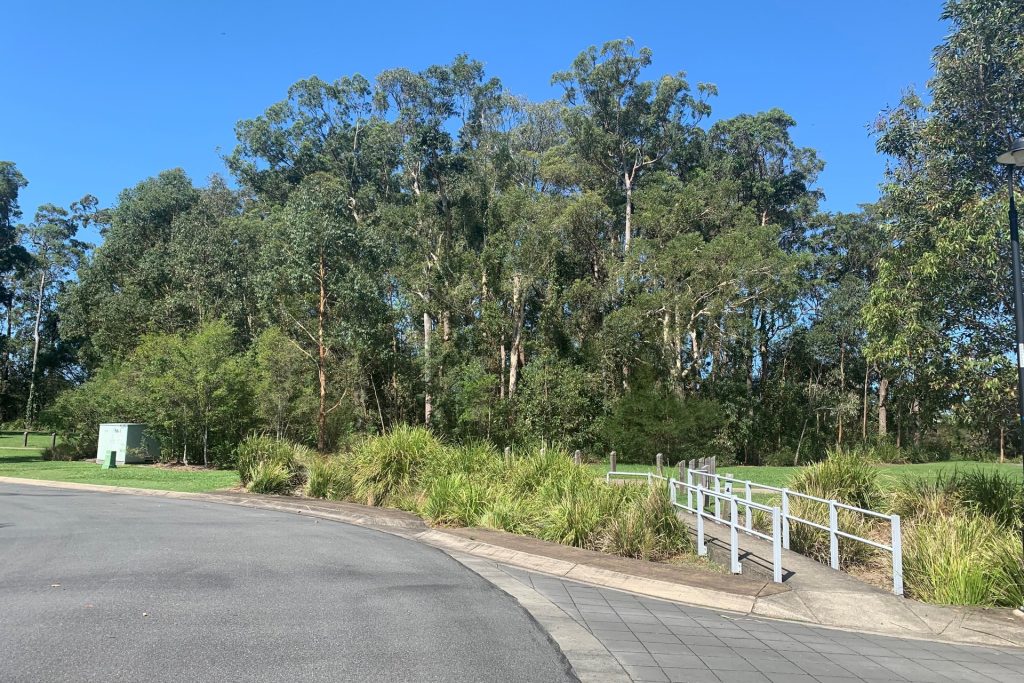 28B Mansell Street, Meridan Plains QLD 4551 - photo 3