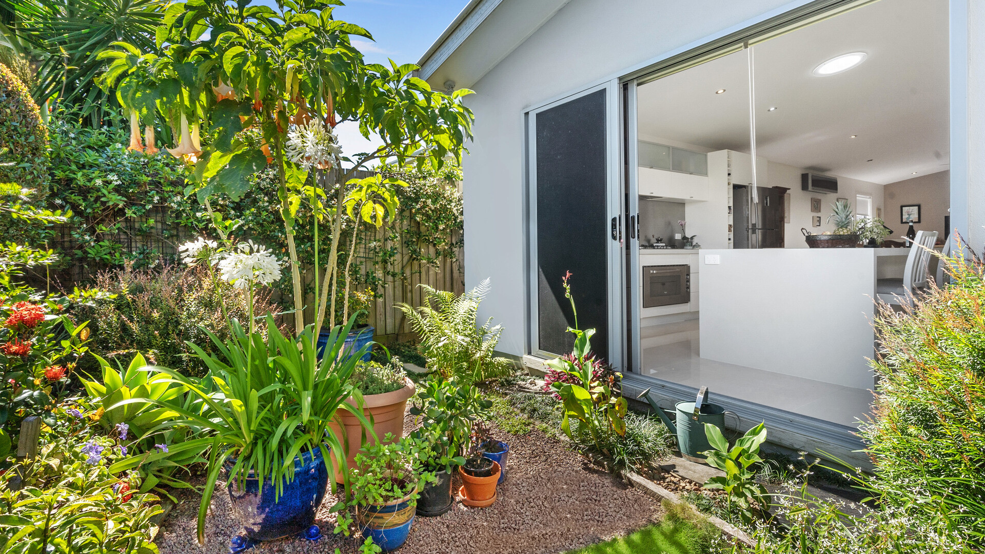 11 White Cedar Drive, Meridan Plains QLD 4551 - photo 7