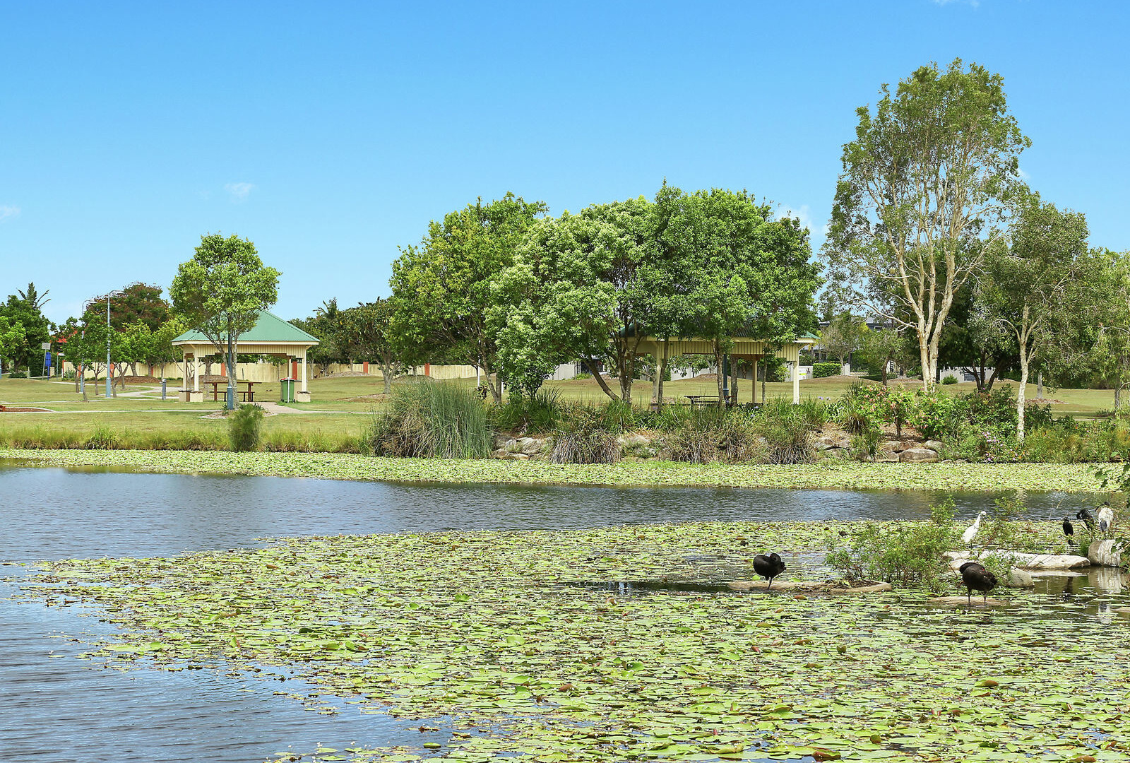 12 Osage Street, Caloundra West QLD 4551 - photo 13