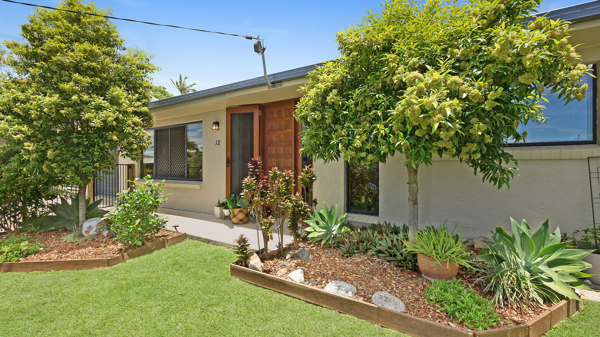 12 Ikara Street, Battery Hill QLD 4551 - photo 5