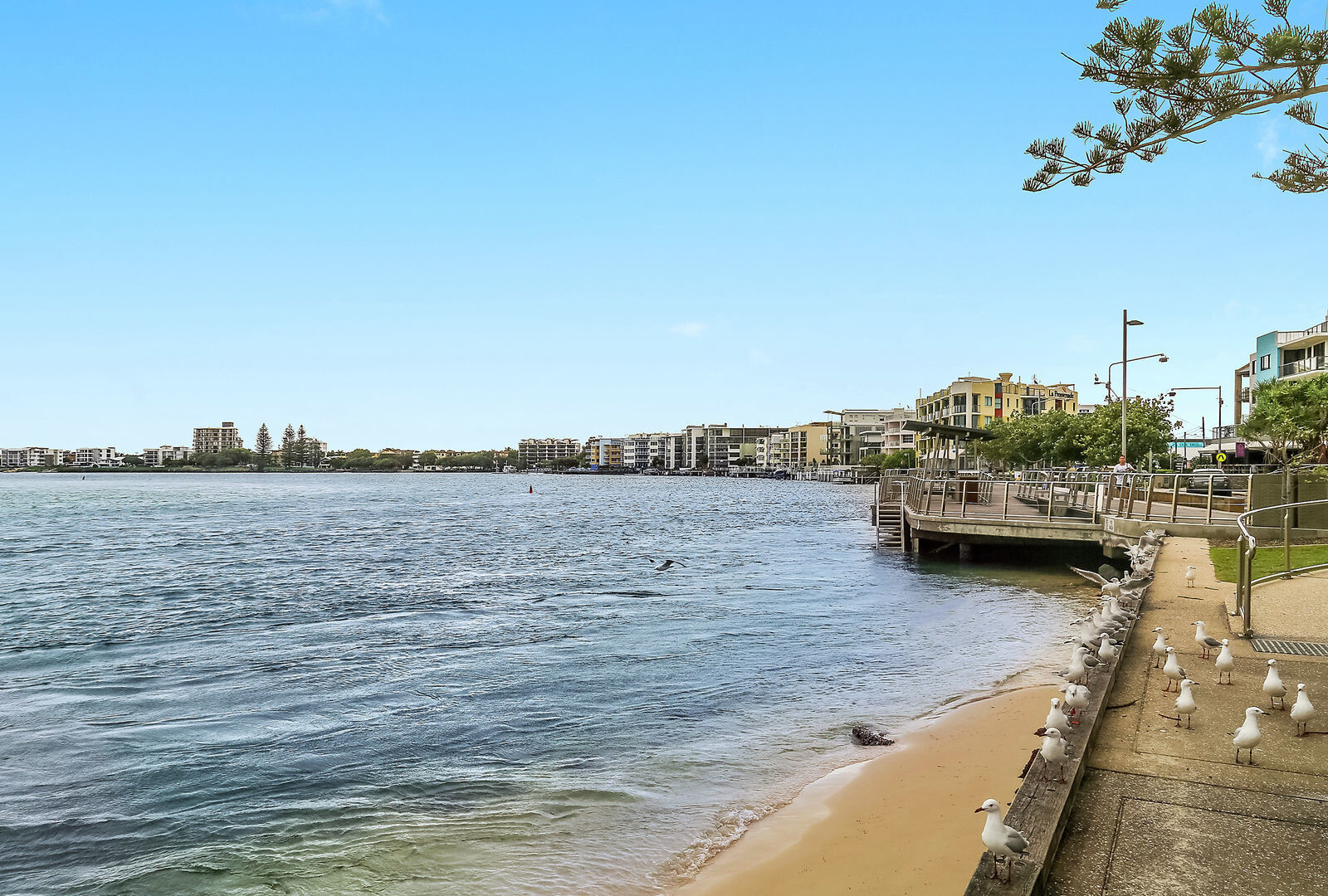 13/42 Maloja Avenue, Caloundra QLD 4551 - photo 17